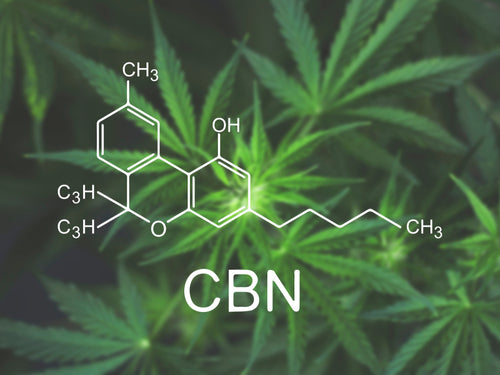 What is CBN? Uses and Benefits of Cannabinol