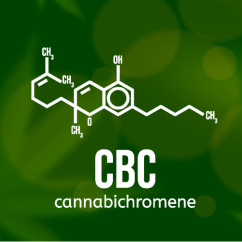 What is CBC? Everything You Need To Know about Cannabichromene